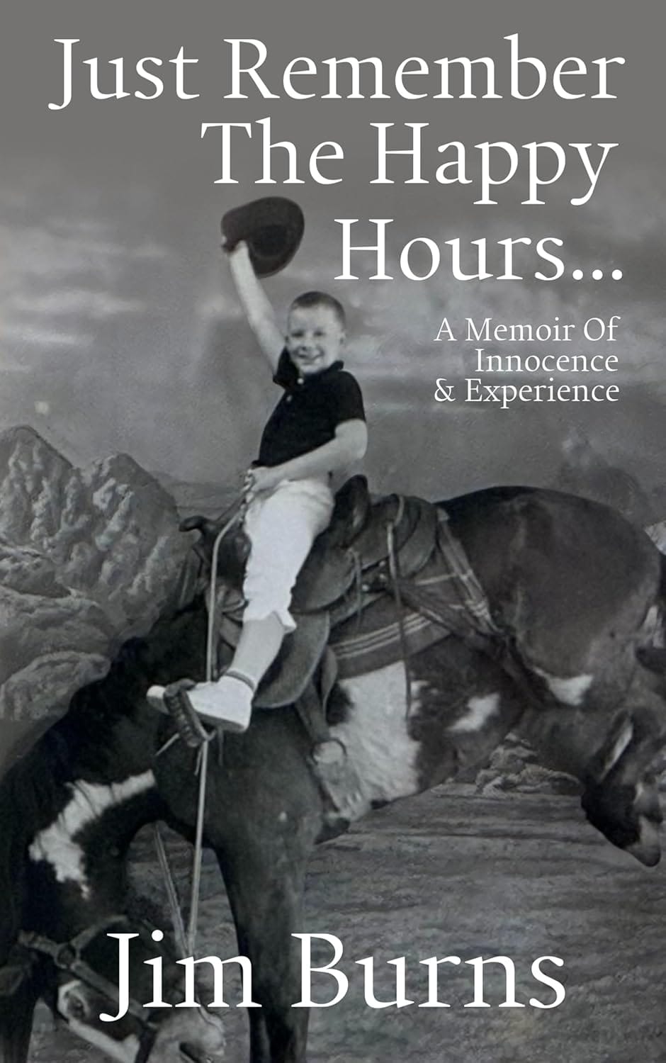 Just Remember The Happy Hours cover